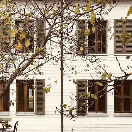 Simple Flat 64m2 Center Private Parking Small Bathroom * Burgdorf