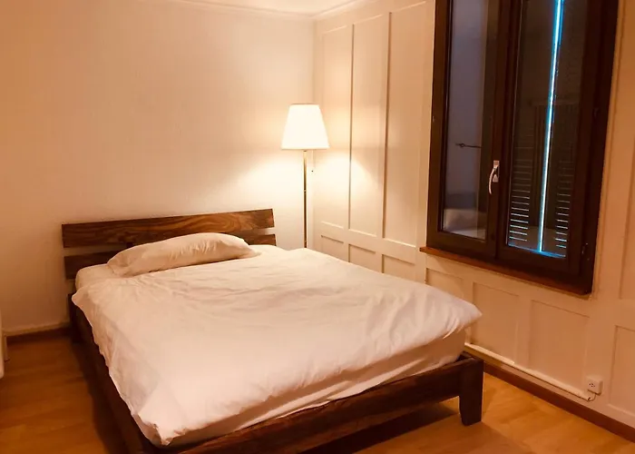 Apartamento Simple Flat 64m2 Center Private Parking Small Bathroom Burgdorf